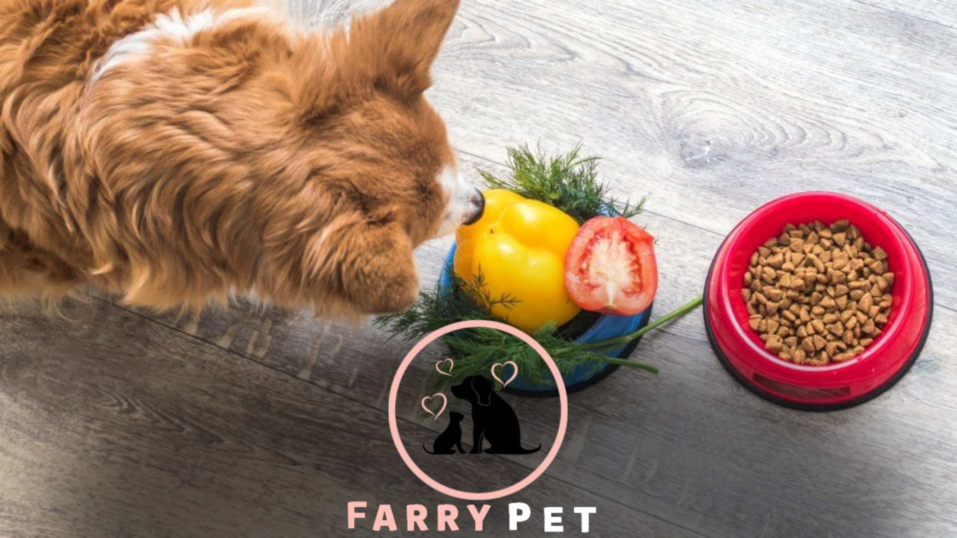 Animal Farm Discount Pet Foods: Providing Affordable Nutrition for Your Beloved Pets