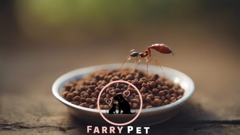 How do you keep ants out of pet food?