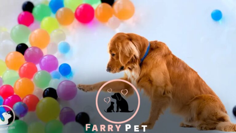 Are Orbeez Toxic to Dogs? Things You Must Know!!