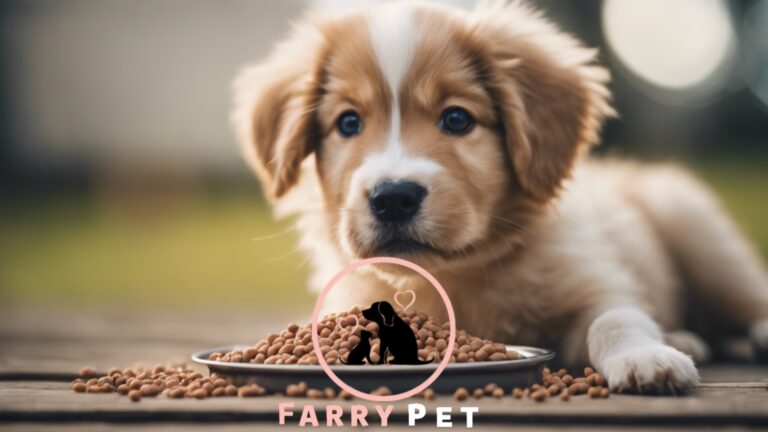 What is the Best Dog Food for Puppies?