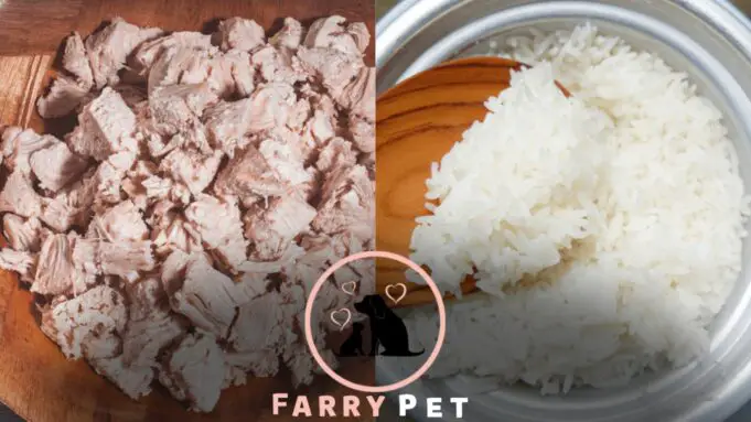 Can Chicken And Rice Make a Dog Constipated