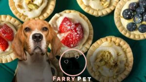 Can Dogs Eat Oatmeal Cream Pies? A Guide for Safety