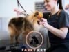 Do You Tip the Dog Groomer at PetSmart? Etiquette and Considerations