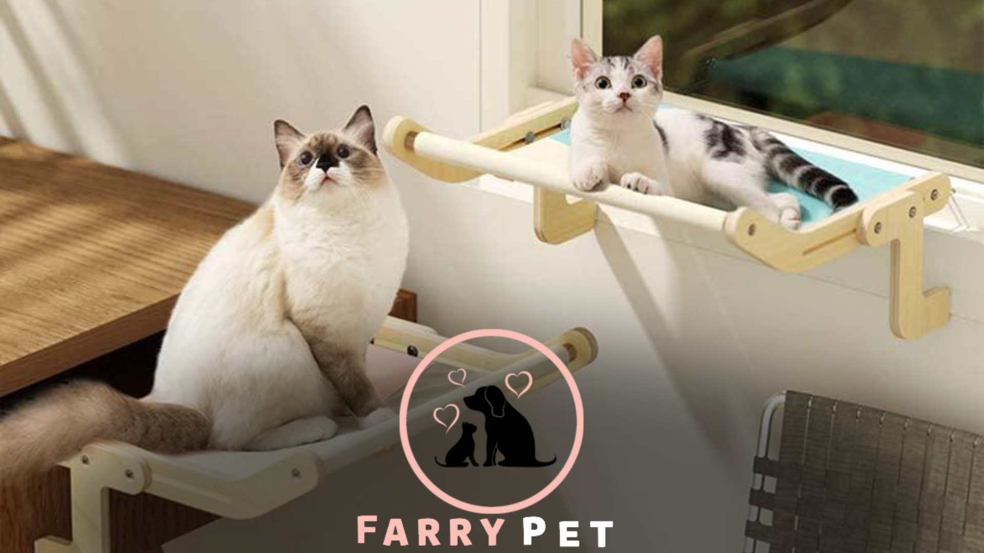 Hanging Cat Bed: Providing Comfort and Relaxation for Your Feline Friend