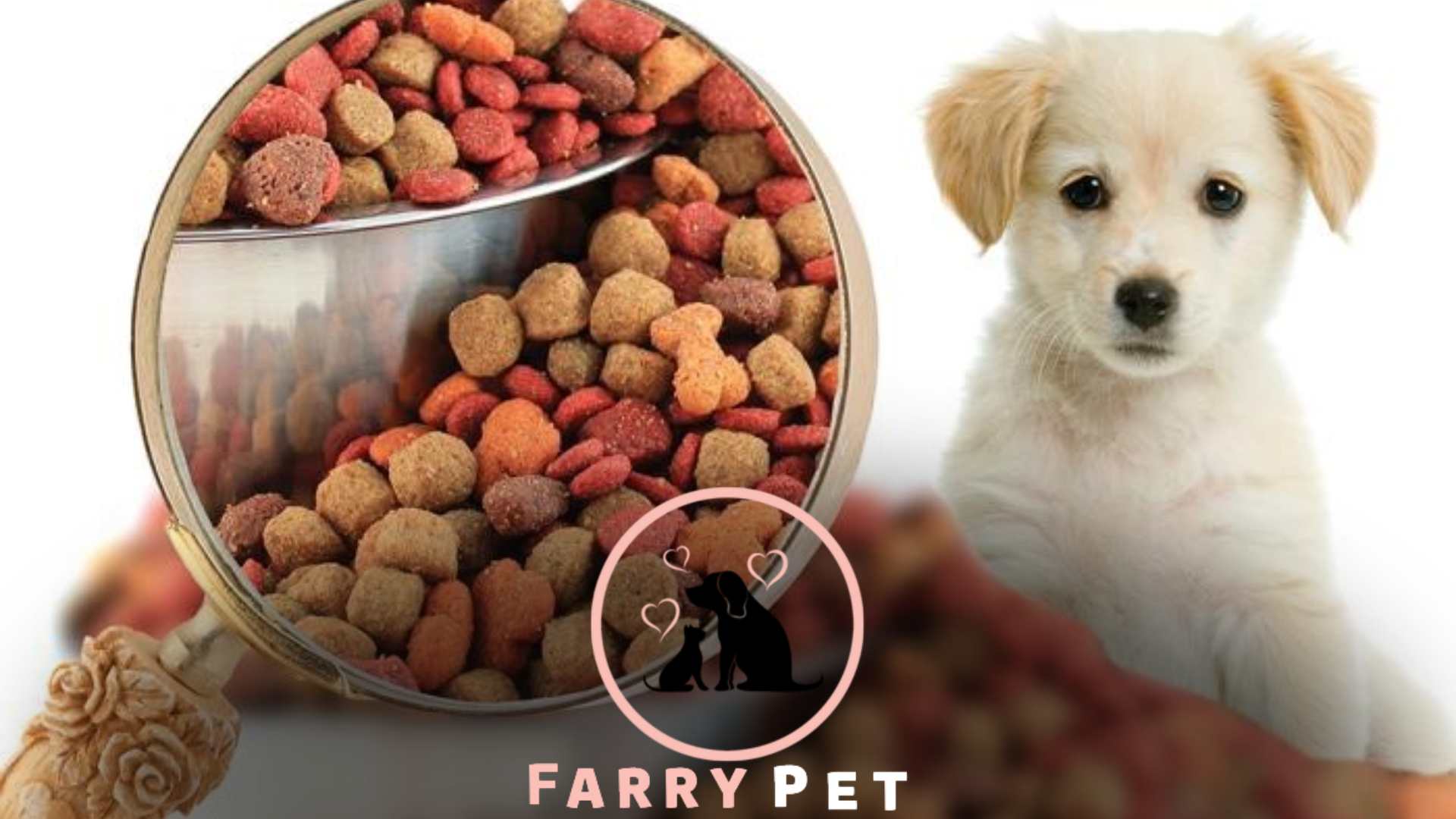 How to Choose Safe and Healthy Pet Food