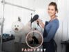 How to Get a Dog Grooming Apprenticeship: Exploring the Path