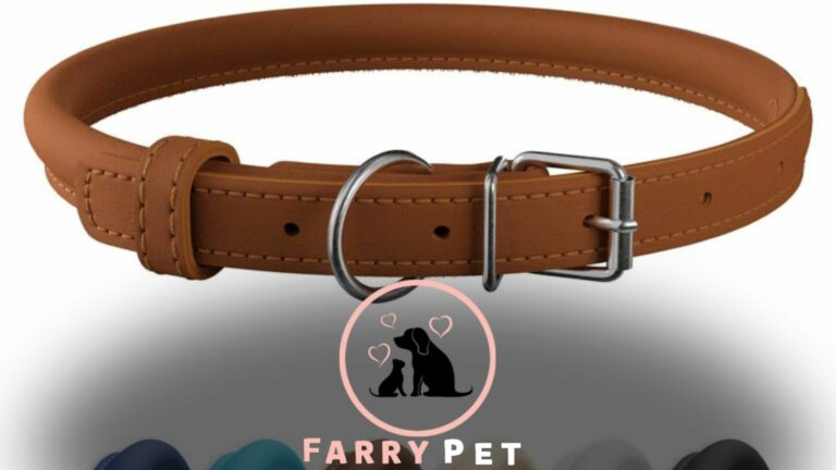 How to Make a Leather Dog Harness?