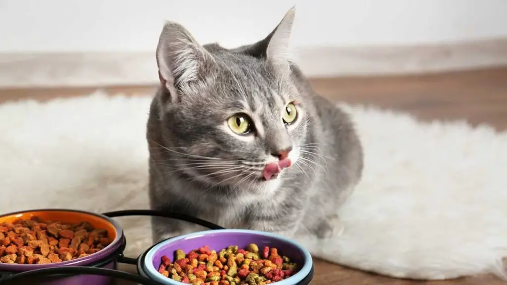 Introducing Pure Cravings Cat Food
