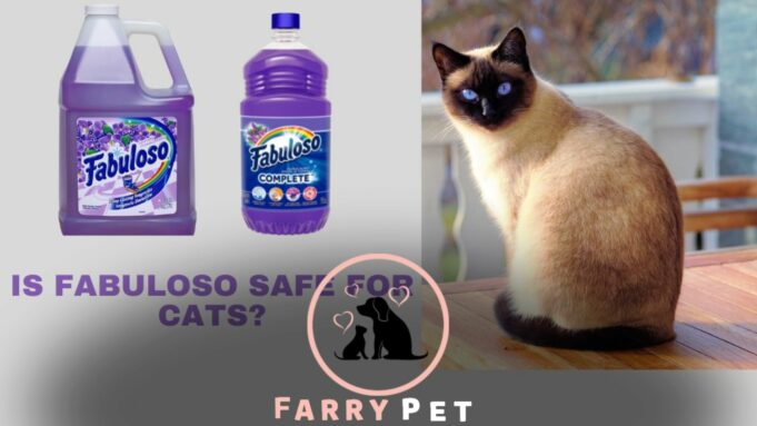 Is Fabuloso Safe for Cats