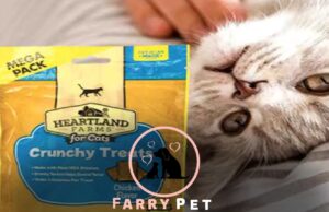 Is Heartland Farms Good Cat Food? User Experiences and Insights