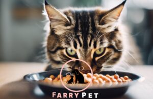 Is Simply Nourish A Good Cat Food