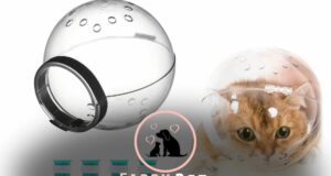 Step-by-Step: Using a Cat Head Bubble for Effective Cat Grooming