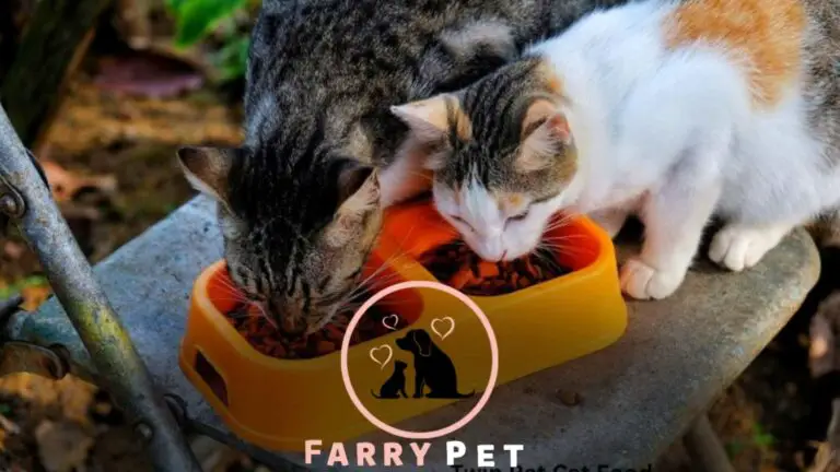 Twin Pet Cat Food: The Complete Guide!!