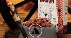 What Happened to Chuck Wagon Dog Food? Stay Informed
