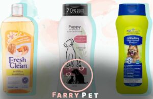 What Shampoo Do Groomers Use on Dogs Grooming Secrets Revealed