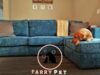 Which Lovesac Fabric is Best for Dogs