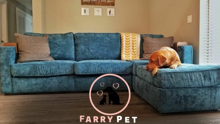 Which Lovesac Fabric is Best for Dogs? Facts You Need To Know!!