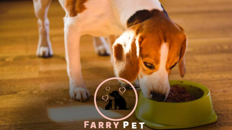 Wholesome Dog Food: Nourishing Your Furry Friend’s Well-being