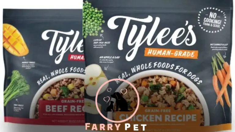 Why Is Tylee’s Dog Food Unavailable?
