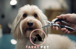 Curved Scissors For Dog Grooming